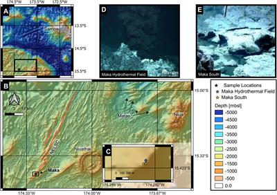 Trace Element and Isotope Systematics in Vent Fluids and Sulphides From Maka Volcano, North Eastern Lau Spreading Centre: Insights Into Three-Component Fluid Mixing